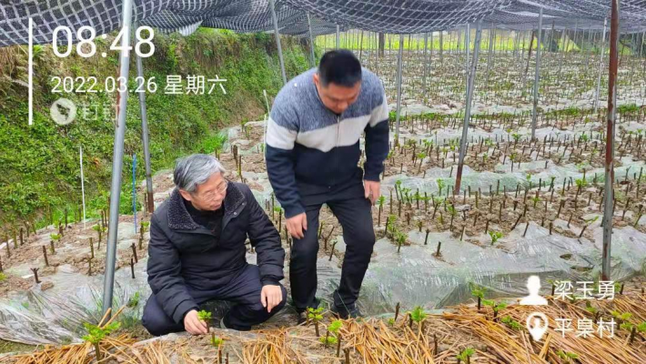 图片7.png