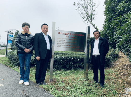 商友江在国家茶产业体系铜仁茶叶综合试验站示范基地调研