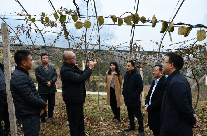 微信截图_20221211183030.png