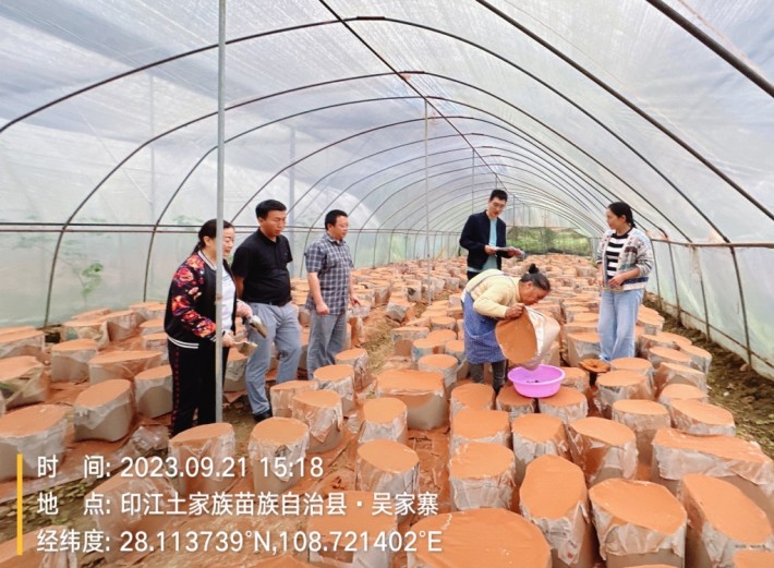 微信截图_20230923171926.png