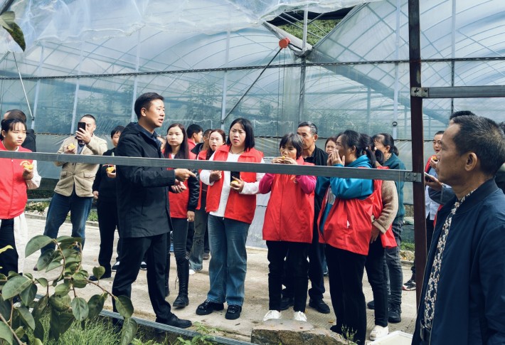 图片4.jpg