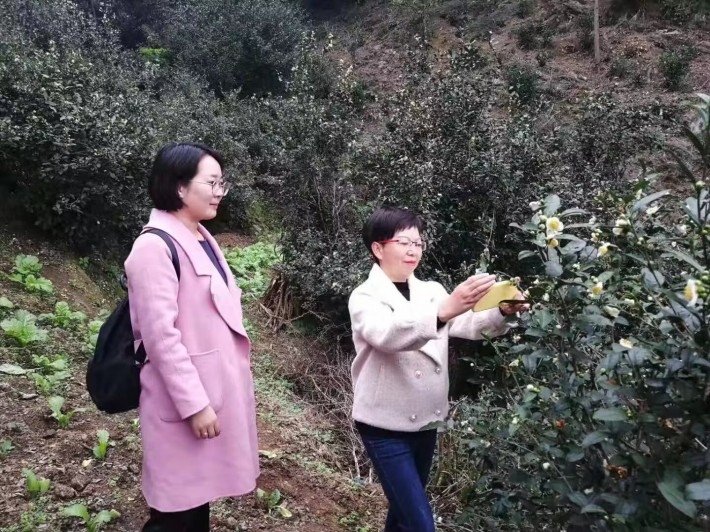 微信图片_20250310152036.jpg