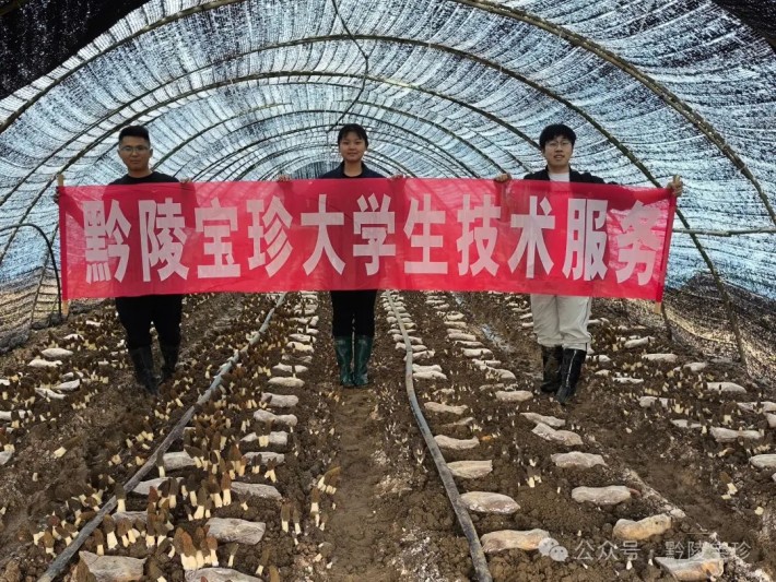微信图片_20250314090828.jpg