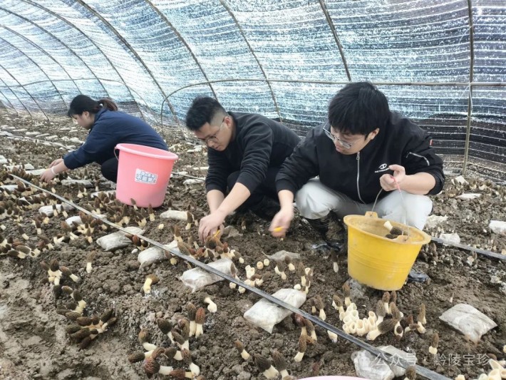 微信图片_20250314090813.jpg