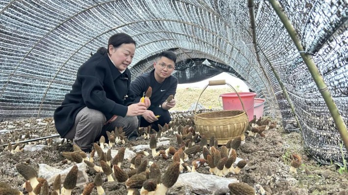 微信图片_20250314090801.jpg