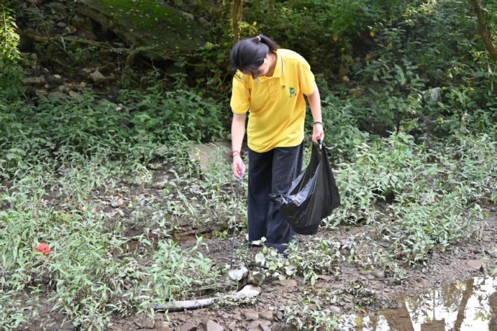 护碧水清波2.png
