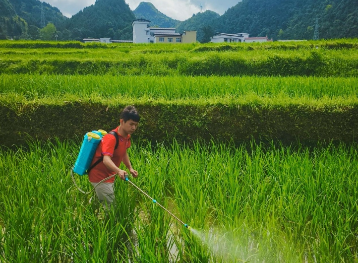 青春服务助农忙3.png