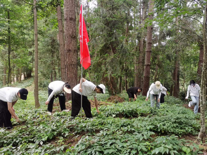 经彩筑梦5.png