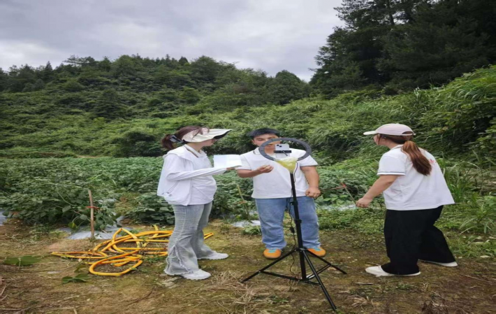 青春筑梦新田村2.png