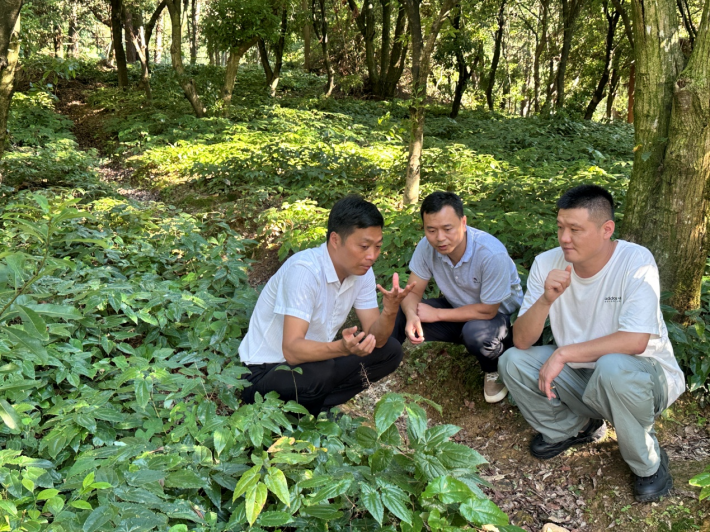 社会实践座谈会3.png