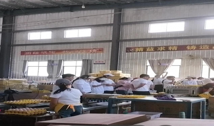 用行动传递温暖4.png