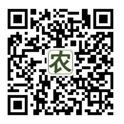 微信公众号