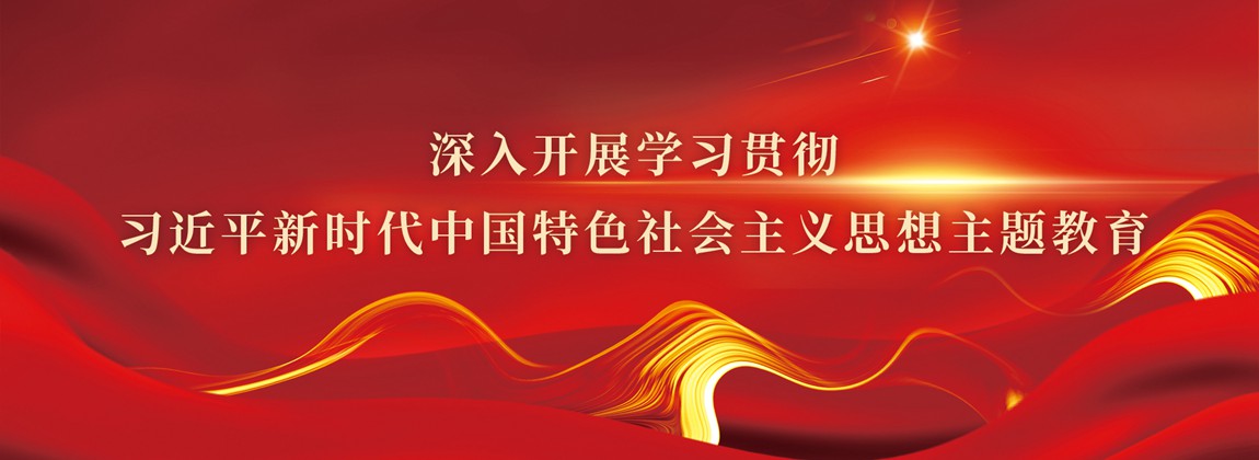 深入开展学习贯彻习近平新时代中国特色社会主义思想主题教育