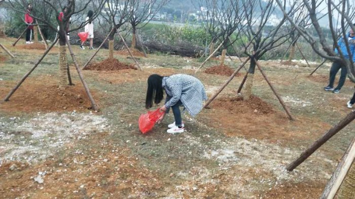 微信图片_20180326111808.jpg