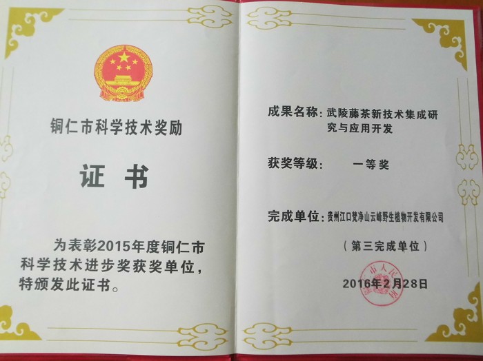 8 铜仁市科技进步奖藤茶奖公司证书.JPG