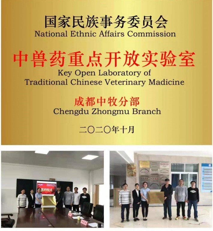 中牧4.jpg