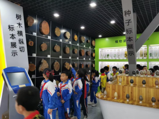 活动剪辑21
