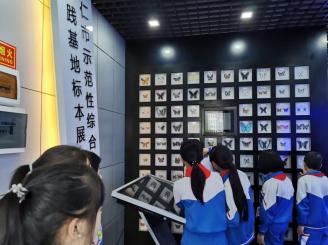活动剪辑23