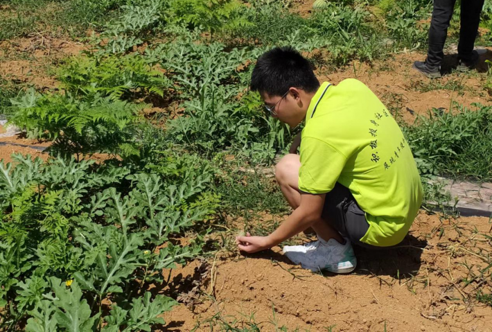 南校区一中_中学南校区_上南中学南校