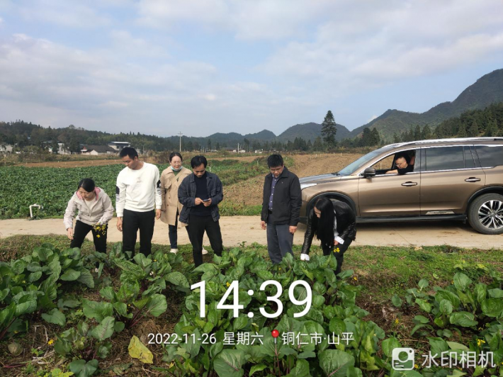 图片8.png