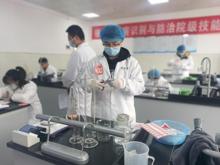 病虫害识别2.jpg