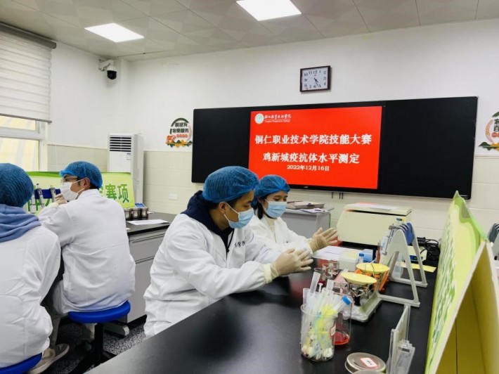 图5  各参赛队伍井然有序进行比赛.jpg