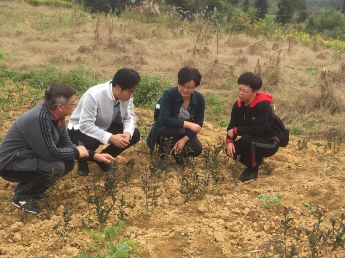 茶叶专业产业试验站