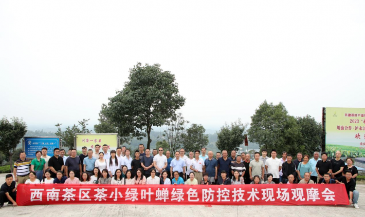 图片6.png