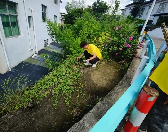 环境治理实践5.png