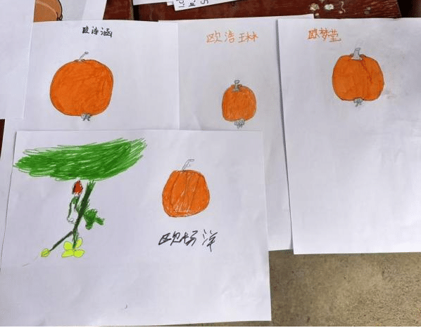 图片31.png