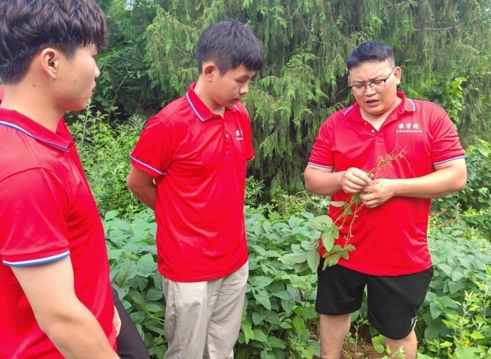 青春服务助农忙1.png