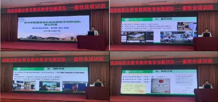 图片8.png