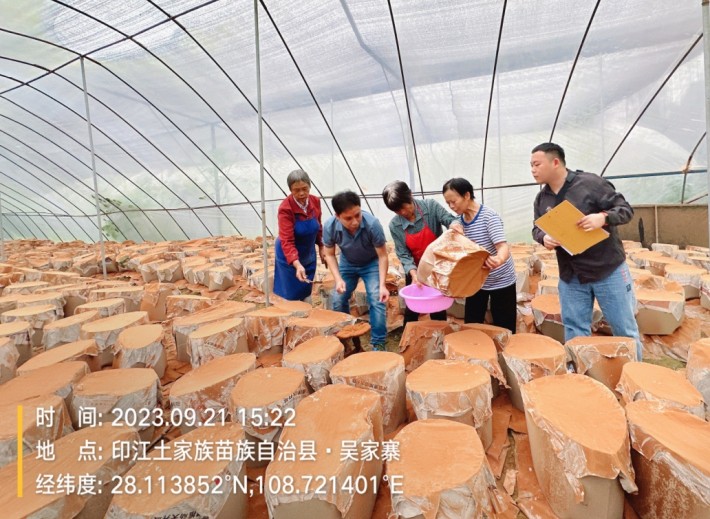 微信截图_20230923171939.png