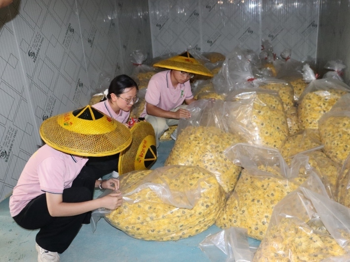 图片13.png